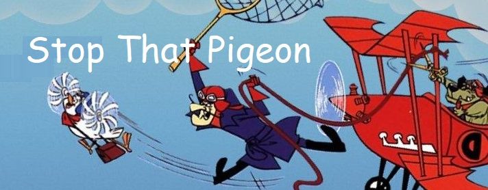 Stop that Pigeon!