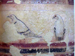 raffigurazioni di piccioni nella storia etrusca