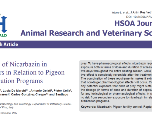 La nicarbazina utilizzata come antifecondativo per i piccioni  può essere dannosa per i rapaci che li mangiano?  Questo articolo ce lo spiega